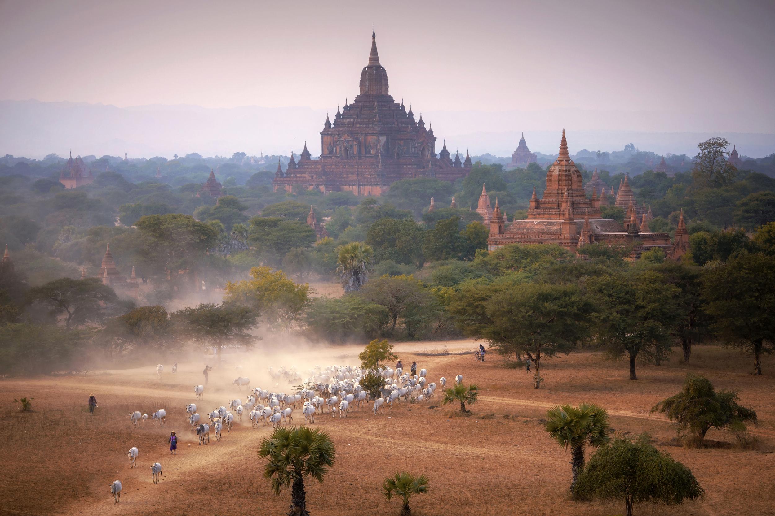 Pyae Phyo Thet Paing, Myanmar/UNESCO Youth Eyes on the Silk Roads 2018