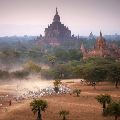 Pyae Phyo Thet Paing, Myanmar/UNESCO Youth Eyes on the Silk Roads 2018